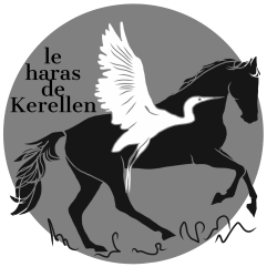 Logo le Haras de Kerellen